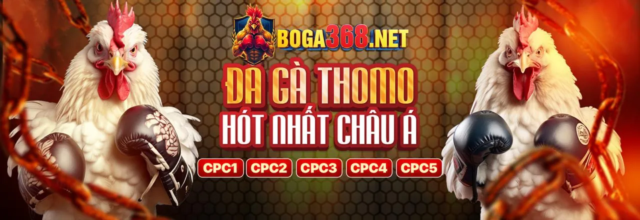 Hình ảnh tổng quan về chiến lược cá cược trực tuyến tại king88bet
